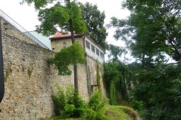 Erdschweinessen2016 (58)